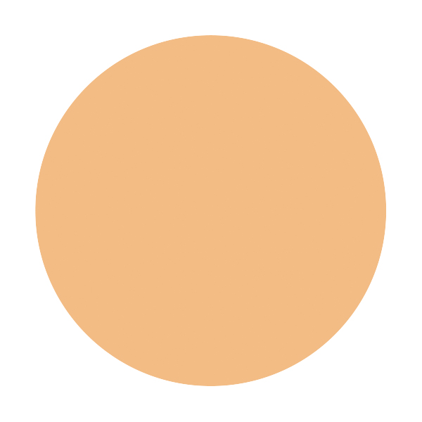 資生堂 パーフェクトカバー ファンデーション ＭＶ　オークル10 標準的な肌色（明るめ）