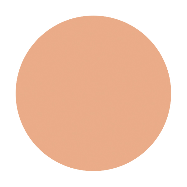 資生堂 パーフェクトカバー ファンデーション ＭＶ　ピンクオークル20(C) 赤みよりで標準的な明るさの肌色