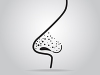 鼻の角栓を綿棒とオイルで除去する方法の効果とは 正しいケアを検証 スキンケア大学