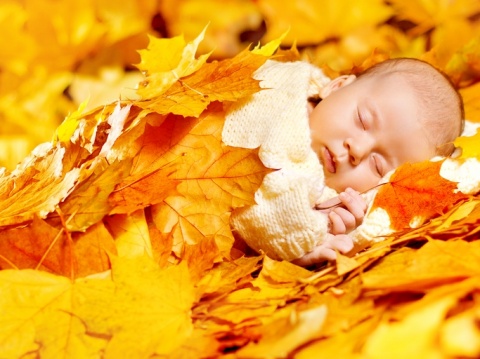赤ちゃんの秋の服選びはどうする？新生児～2歳までのコーディネート術