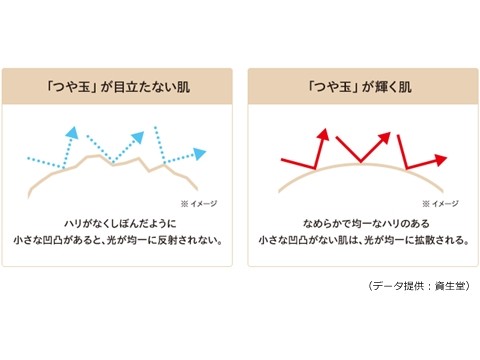 つや玉が輝く肌のメカニズムを現す図