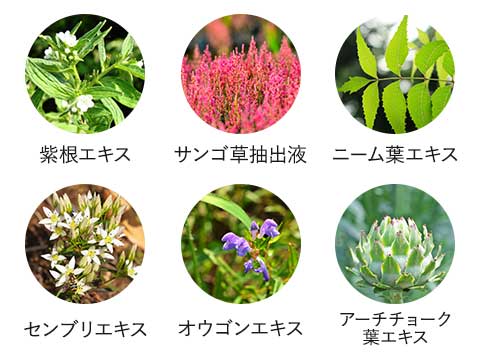 55種類の保湿成分の一例