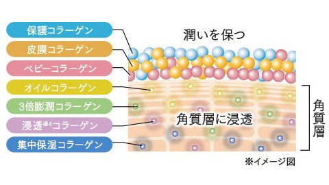 複合型コラーゲンEX