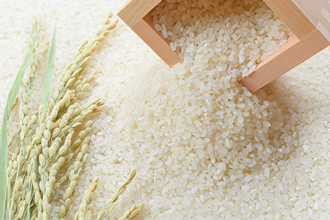 お米イメージ