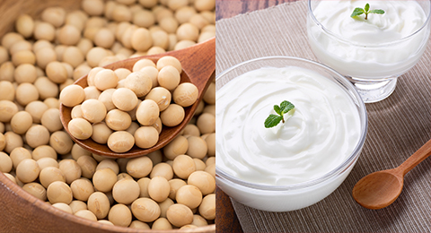 大豆発酵エキスとビフィズス菌発酵エキスイメージ