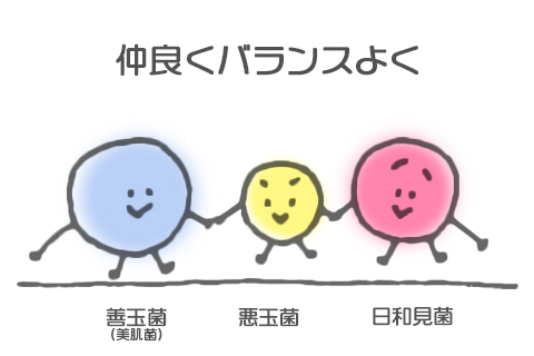 善玉菌・悪玉菌・日和見菌