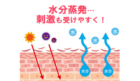 バリア機能が壊れた肌