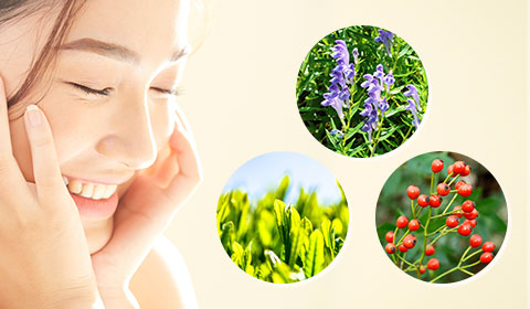 ポリフェノール成分