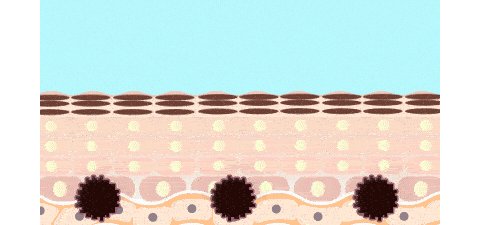 プラセンタエキス