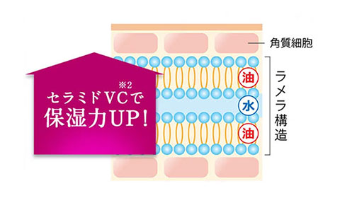 セラミドVC