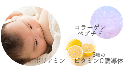 セルアクティブソーム図説