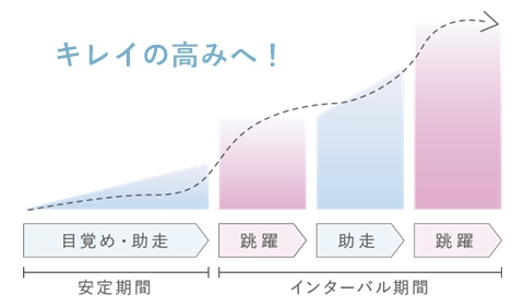 スキンインターバルメソッド図説