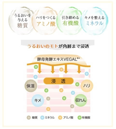 うるおいが角質に浸透する図説