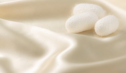 シルクイメージ