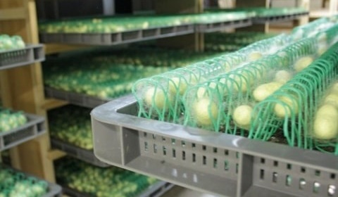 無菌ルーム画像