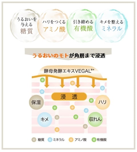 酵母発酵エキス