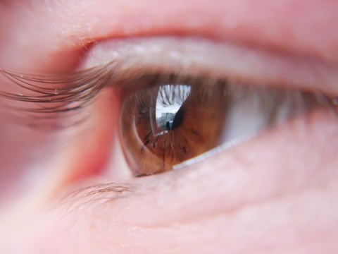 眼瞼下垂症の手術方法
