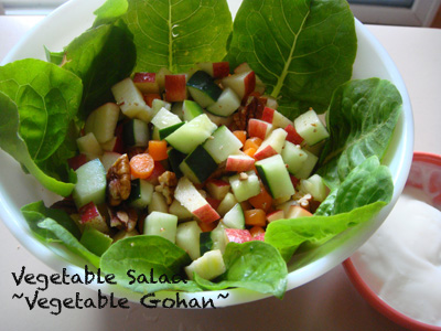 Vegetable Salad【America】